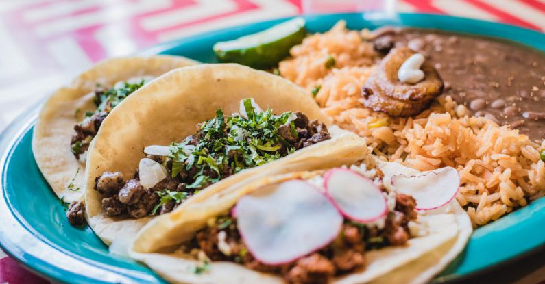 Tacos - Cooked Food On Blue Plate