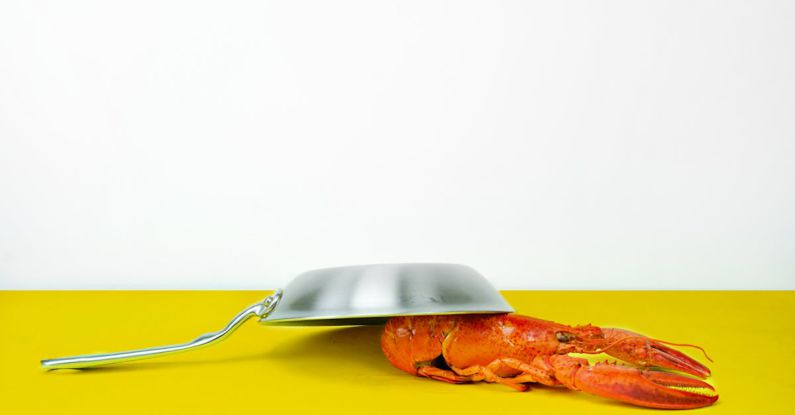 Lobster - Gray Steel Cooking Pan Near Orange Lobster