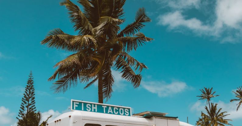 Fish Taco - White and Blue Bus Near Green Palm Tree Under Blue Sky